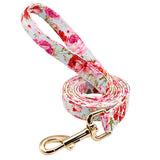 Personalized Dog Collar & Leash Set with Engraved Nameplate