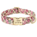 Personalized Dog Collar & Leash Set with Engraved Nameplate