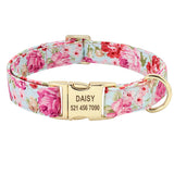 Personalized Dog Collar & Leash Set with Engraved Nameplate