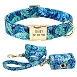 Personalized Dog Collar & Leash Set with Engraved Nameplate