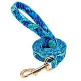 Personalized Dog Collar & Leash Set with Engraved Nameplate