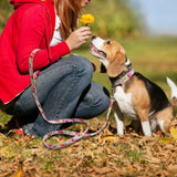 Personalized Dog Collar & Leash Set with Engraved Nameplate