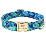 Personalized Dog Collar & Leash Set with Engraved Nameplate