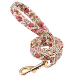 Personalized Dog Collar & Leash Set with Engraved Nameplate