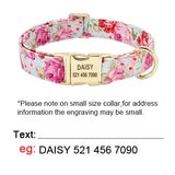 Personalized Dog Collar & Leash Set with Engraved Nameplate