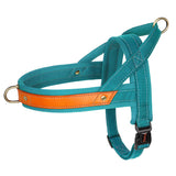 Soft Padded & Durable Reflective Harnesses For Pet Training