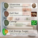 Catnip Wall Roller Safe And Healthy Cat Molar Catnip Ball