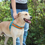 Soft Padded & Durable Reflective Harnesses For Pet Training