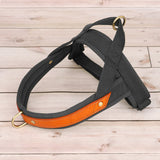 Soft Padded & Durable Reflective Harnesses For Pet Training