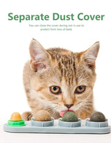 Catnip Wall Roller Safe And Healthy Cat Molar Catnip Ball