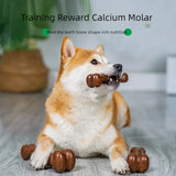 Multiple flavors of dog snacks bite resistant to clean teeth