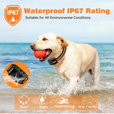 Remote Control Waterproof Electric Dog Training Collar With Shock Vibration