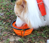 Folding Portable Silicone Bowl