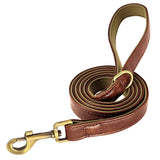 Soft Leather Padded Collar For Large Dogs
