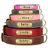 Soft Leather Padded Collar For Large Dogs