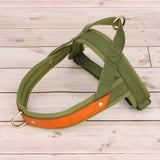 Soft Padded & Durable Reflective Harnesses For Pet Training
