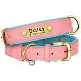 Soft Leather Padded Collar For Large Dogs