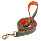Soft Leather Padded Collar For Large Dogs