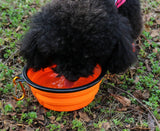 Folding Portable Silicone Bowl