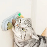 Catnip Wall Roller Safe And Healthy Cat Molar Catnip Ball