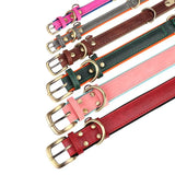 Soft Leather Padded Collar For Large Dogs
