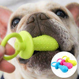Toys For Small Dogs Indestructible Teeth Cleaning Chew Training