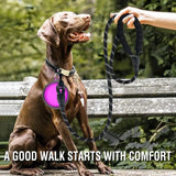 Strong Dog Reflective Leash For Pets